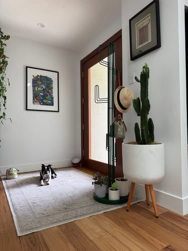 Customer photo review of Wire Cactus Coat Hanger
