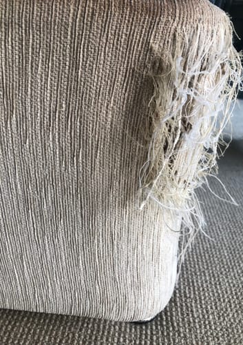 Customer photo review of Multifunctional Cat Scratching Carpet