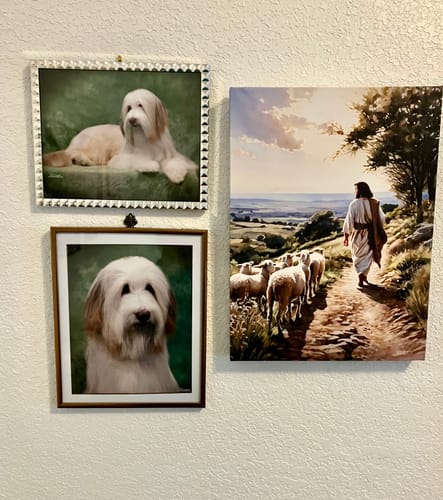 Customer photo review of Jesus Christ Walking With The Lambs