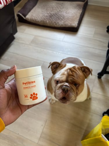 Customer photo review of Probiotic Chews