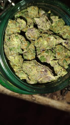 Customer photo review of Gorilla Glue Greenhouse THCA