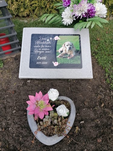 Customer photo review of Hunde Gedenktafel mit Foto & Spruch (UV- & Wetterfest)
