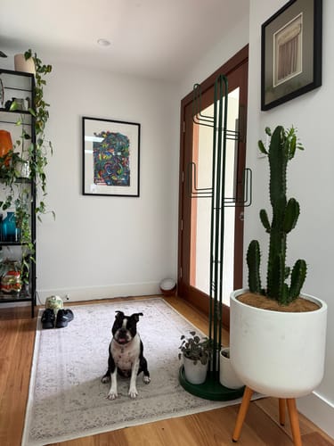 Customer photo review of Wire Cactus Coat Hanger