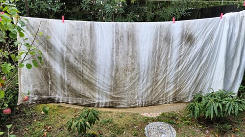 Customer photo review of Curtain Wizard Instant Mould & Mildew Remover