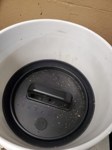 Customer photo review of Airscape® Lid (Lid only)