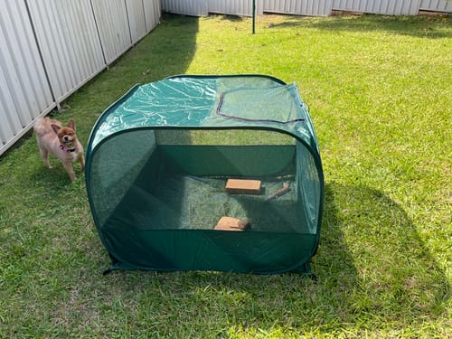 Customer photo review of PUC1000