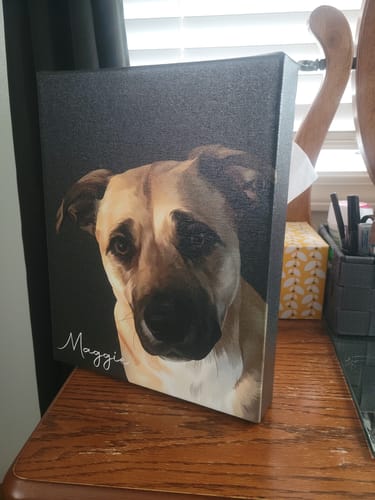 Customer photo review of Pet Art Canvas Wrap