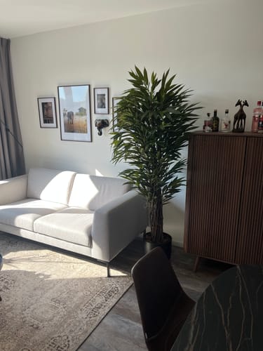 Customer photo review of Longifolia Kunstplant 180cm