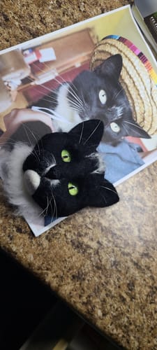 Tammy M. review of Colorbox - Dani Ives' Favorite Colors image 1 out of 1