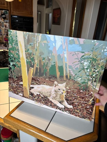 Customer photo review of Paint Your Own Photo