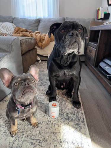 Customer photo review of Chill Chews