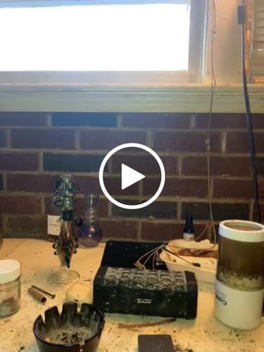 Customer video review of Ice Cream Cake THCA Micros