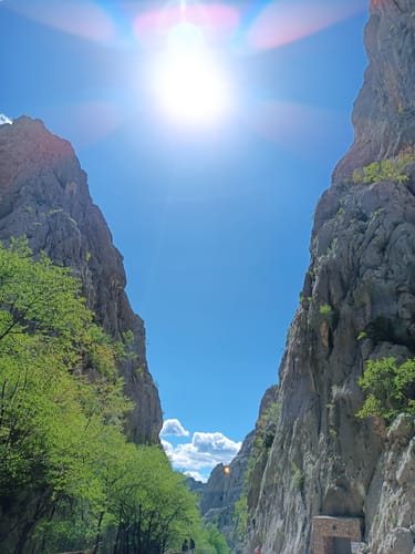 Customer photo review of The Organizer 30L