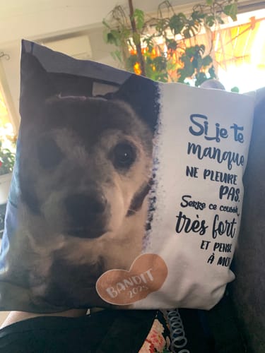 Customer photo review of Si je te manque - Coussin personnalisé