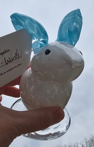 Customer photo review of Daily Bunny - Wink