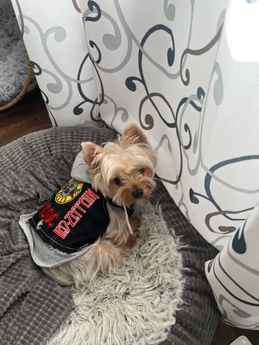 Customer photo review of Black Rocker Hoodie - GUNS N' ROSES