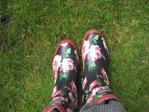 Customer photo review of Paxford Elasticated Mid Calf Wellingtons Black/Flower