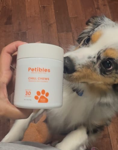 Customer photo review of Chill Chews