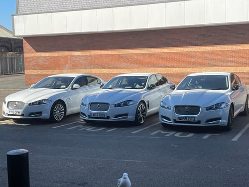 Customer photo review of Build A Bundle 4 x 5 Litres