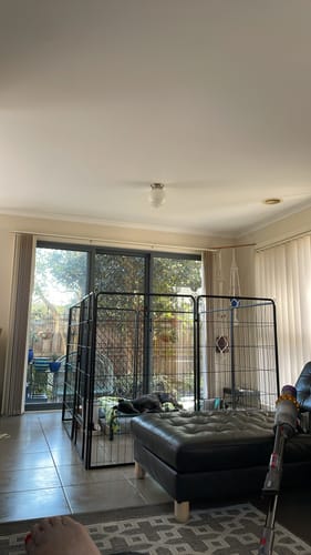 Customer photo review of PaWz 8 Panel Pet Dog Playpen