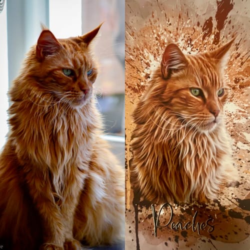 Customer photo review of Aquarell Pawtrait