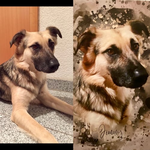 Customer photo review of Aquarell Pawtrait