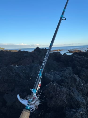 Customer photo review of 8Ft No Excuses Travel Rod with Tube Medium-Heavy Action 1/2oz to 2oz