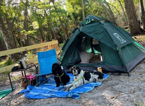 Customer photo review of 3 Secs Tent