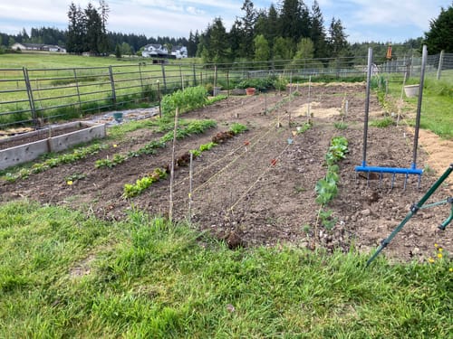 Customer photo review of The Square Foot Gardener Broadfork | 24" wide | 6 tines