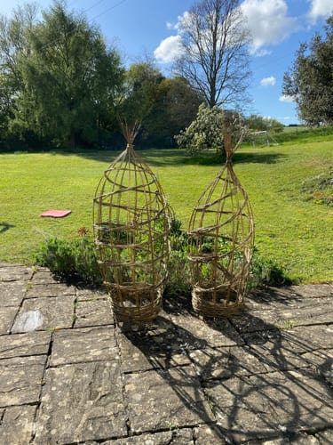 Customer photo review of The Willow Plant Support - Online Course and Kit