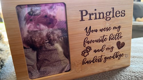 Customer photo review of Pet Memorial - You Were My Favourite Hello And My Hardest Goodbye - Personalised.