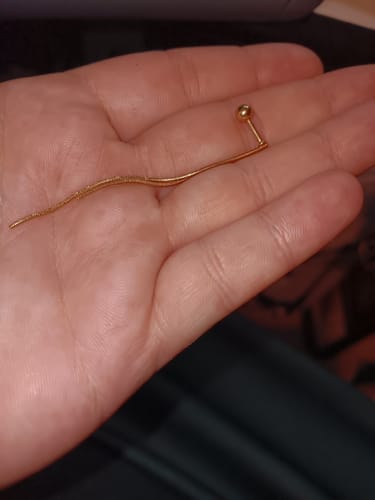 Customer photo review of Long Chain Cartilage Ring