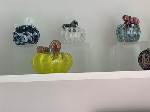 Customer photo review of Daily Pumpkin 1927 Squat