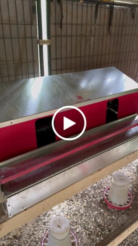 Customer video review of Large (48") - Reversible Rollout Nest Box (Up to 50 Hens)
