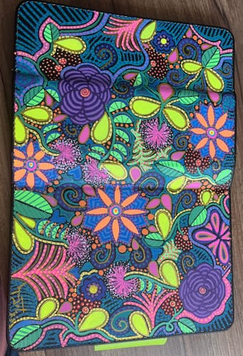 Customer photo review of Kit Inicial Pinturas Piel y Piel Sintetica - 12 colores a elegir + Complementos