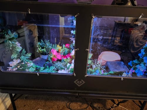 Customer photo review of Removable Cage Shelving