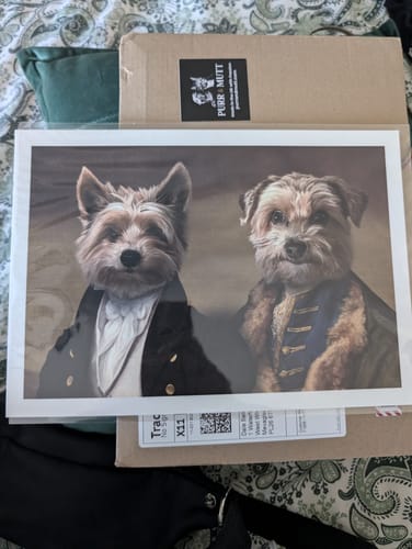 Customer photo review of The Baron & The Count – Custom Vintage Pet Portrait