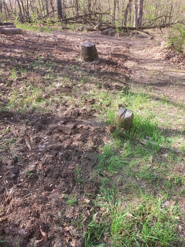 Customer photo review of The All-Day Treadlite Broadfork | 20" wide, 4 tines