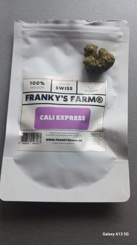 Customer photo review of Cali Express (Premium) - <15% CBD - 1# Cup Winner