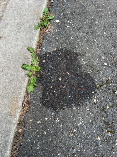 Customer photo review of Avalanche Graphene Paint Sealant