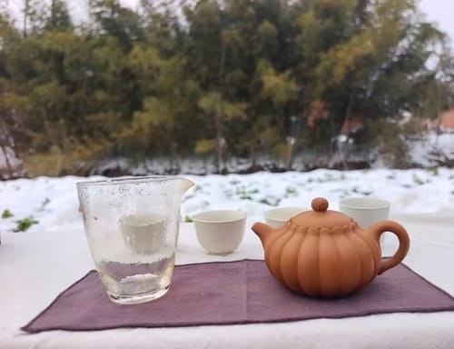 Customer photo review of Yixing Clay Chrysanthemum Teapot