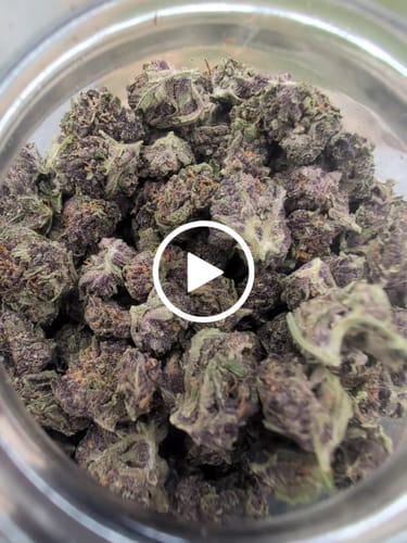 Customer video review of Pop Cherry - Bulk - Minis (Sativa)