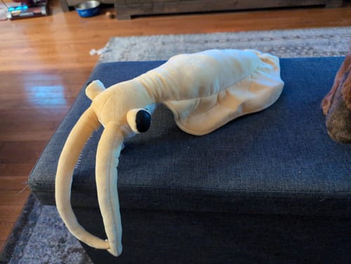 Customer photo review of Nectocaris Pteryx Soft Stuffed Plush Toy