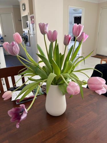 Customer photo review of Mixed Tulips