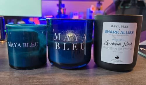 Customer photo review of The Original Shark Tooth Candle
