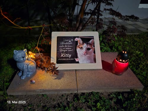 Customer photo review of Katzen Gedenktafel mit Foto & Spruch (UV- & Wetterfest)