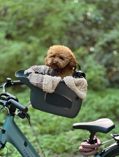 Customer photo review of Kvisp Dog Bike Carrier