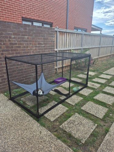 Customer photo review of Hammock For The Cat Cabana Cat Enclosure