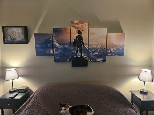 Customer photo review of Zelda Breath of the Wild Wall Art