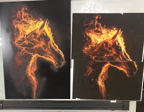 Customer photo review of Classroom in a Box: "Fire Horse"